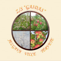 ZS GAIDAS